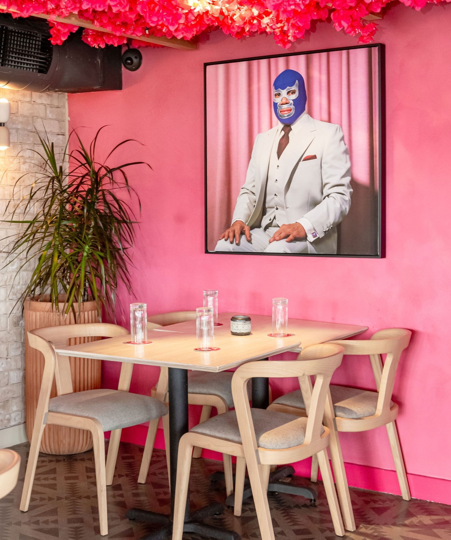 Lucha Rosa | Washington, D.C. | Project by BCT Design Group